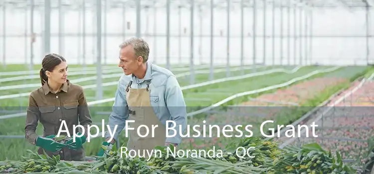 Apply For Business Grant Rouyn Noranda - QC